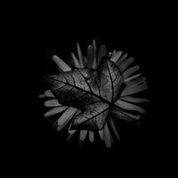 '#900' | Limited Edition 12 x 12 inch B&W Photo Print Under Acrylic Glass