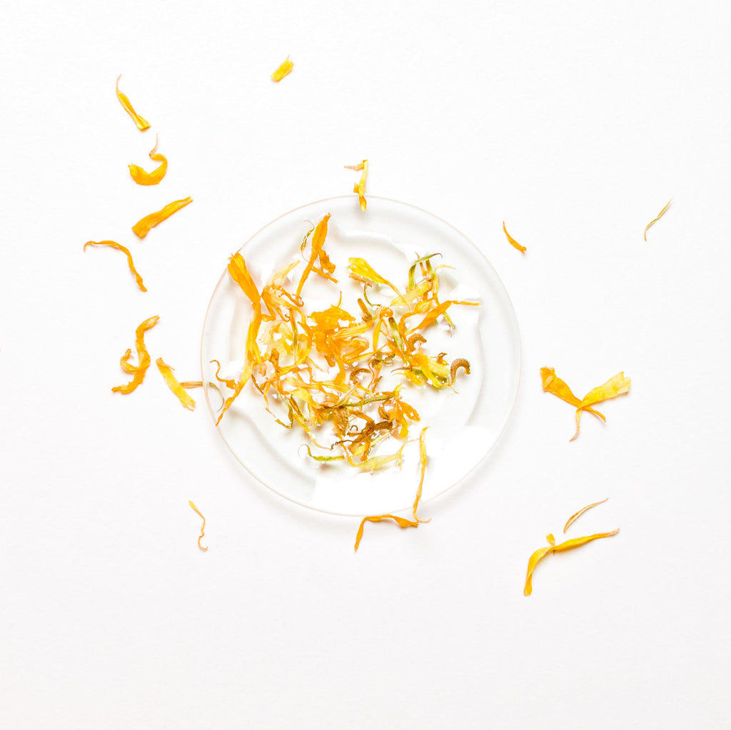 Calendula-Infused Sunflower Oil