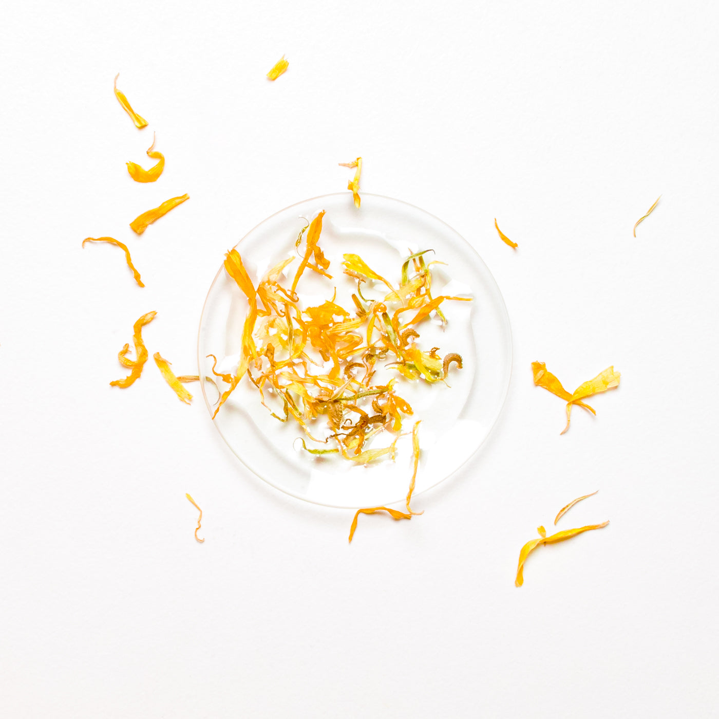 Calendula-Infused Sunflower Oil