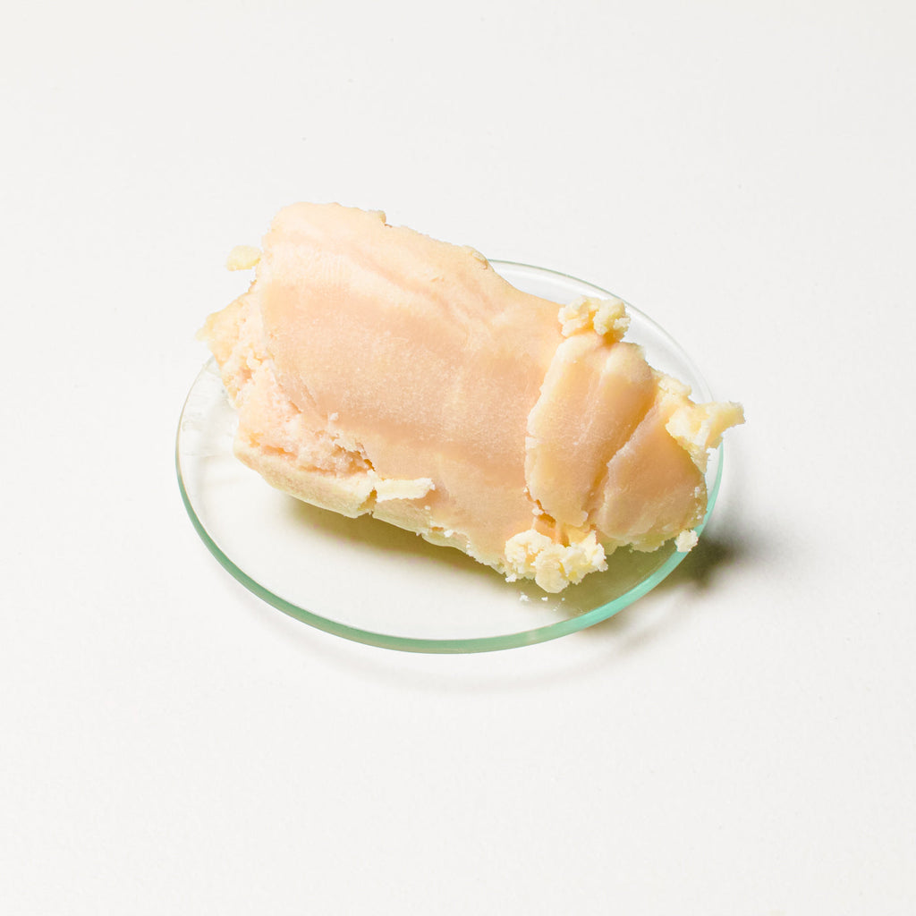 Cupuaçu Butter: The Secret to Deep Hydration