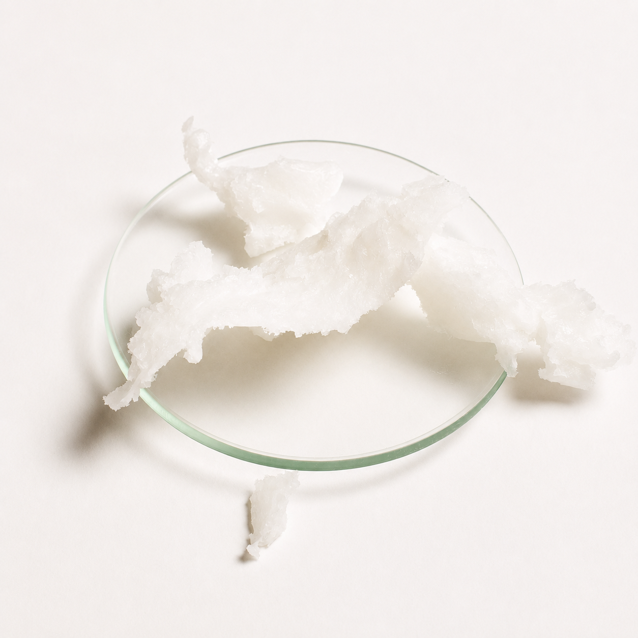 Coconut (Cocos Nucifera Oil)