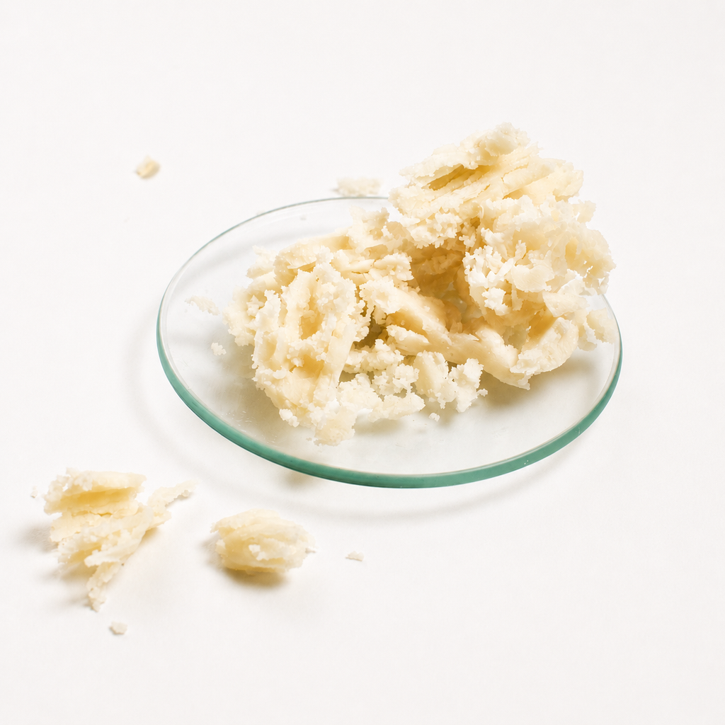 Cupuaçu (Theobroma Grandiflorum Seed Butter)