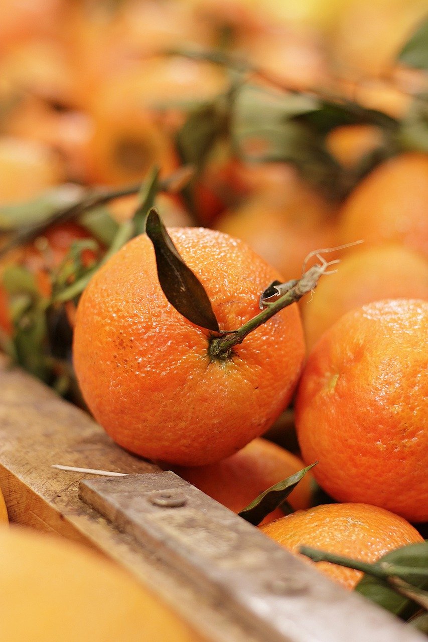 Sweet Orange Essential Oil