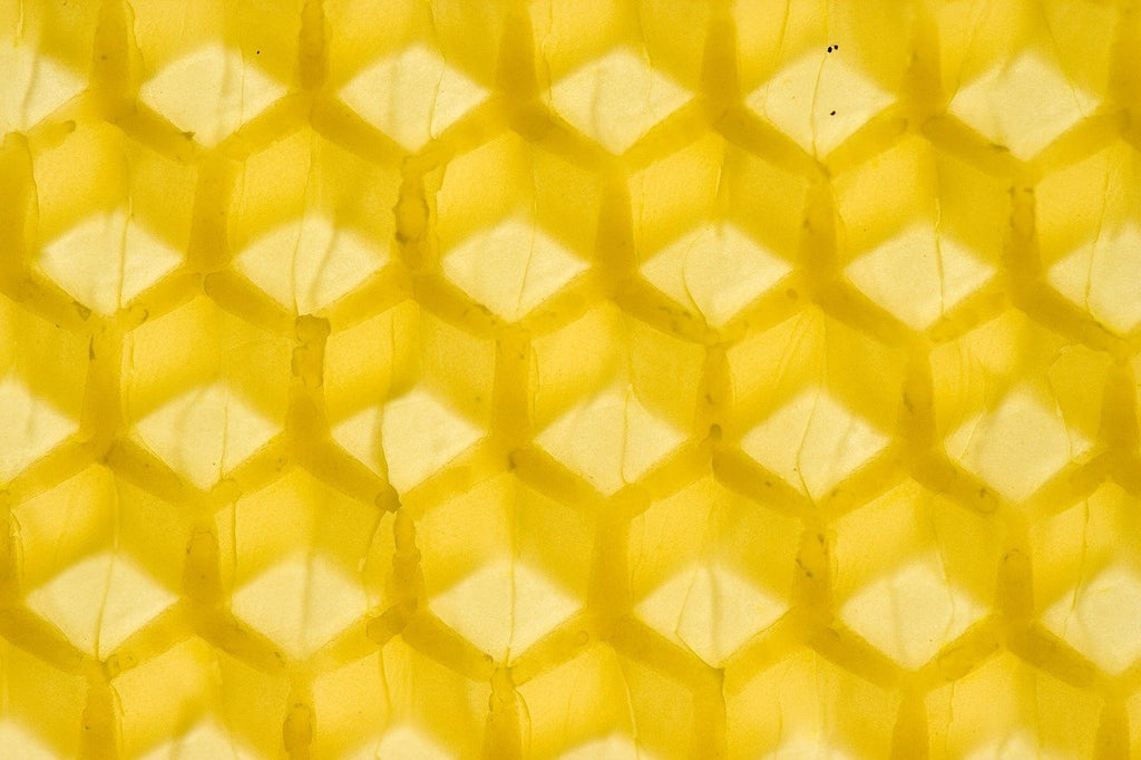 Virgin Beeswax