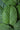 Peppermint Essential Oil