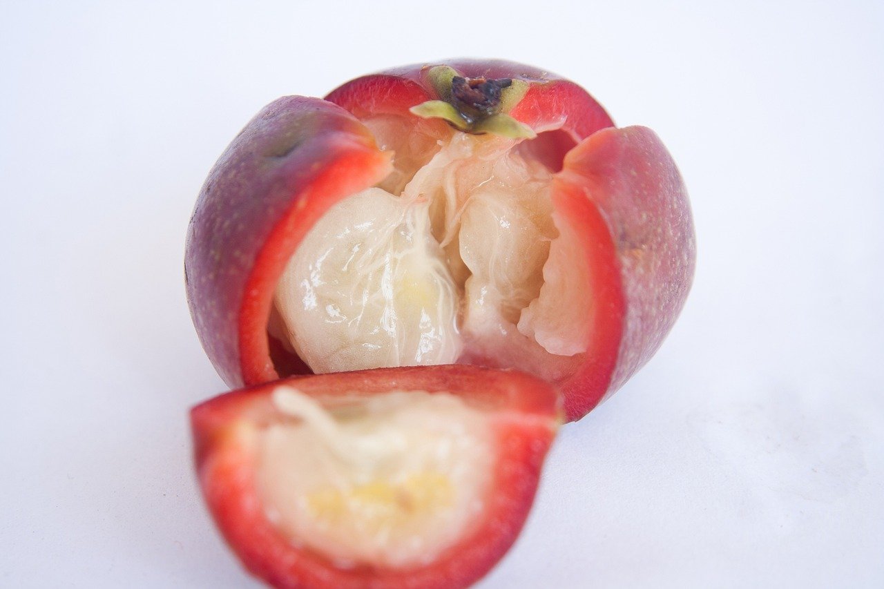 Kokum Butter