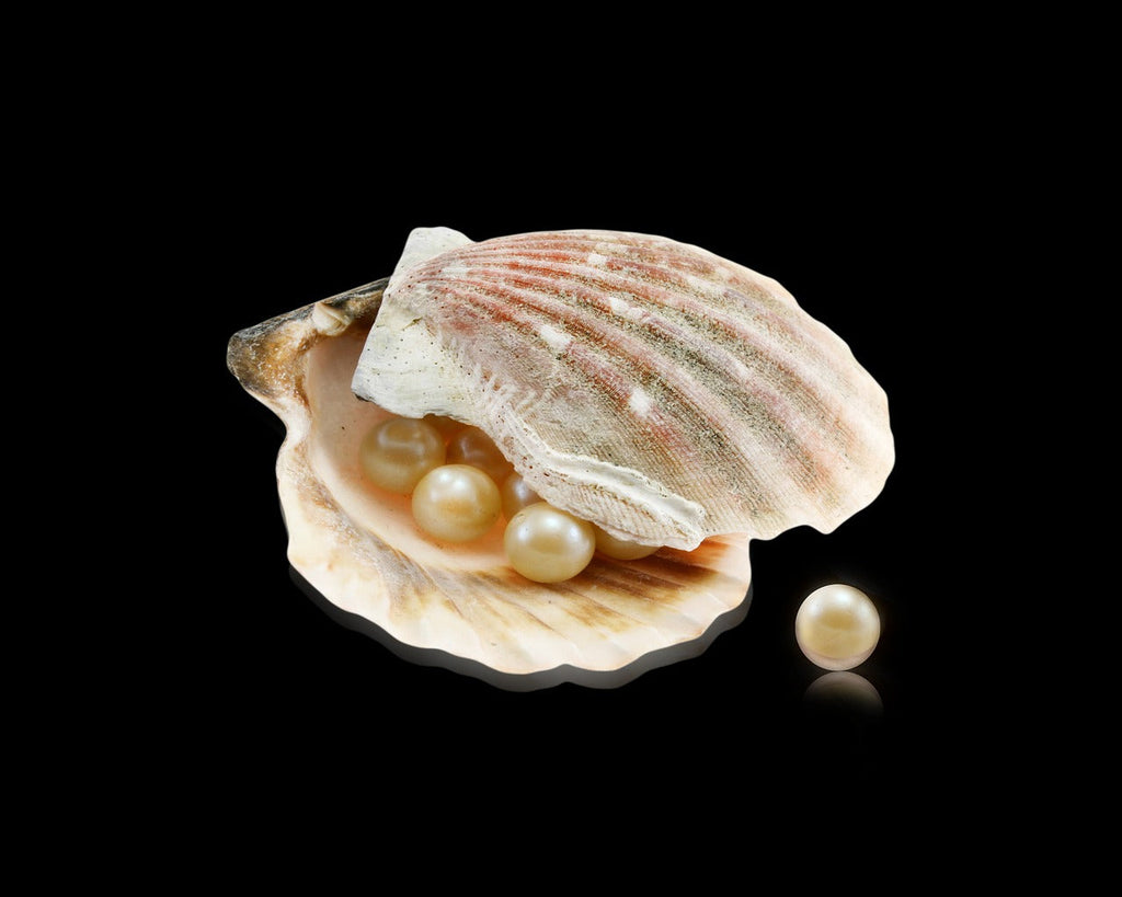 Hydrolyzed Pearl: Illumination from the Sea