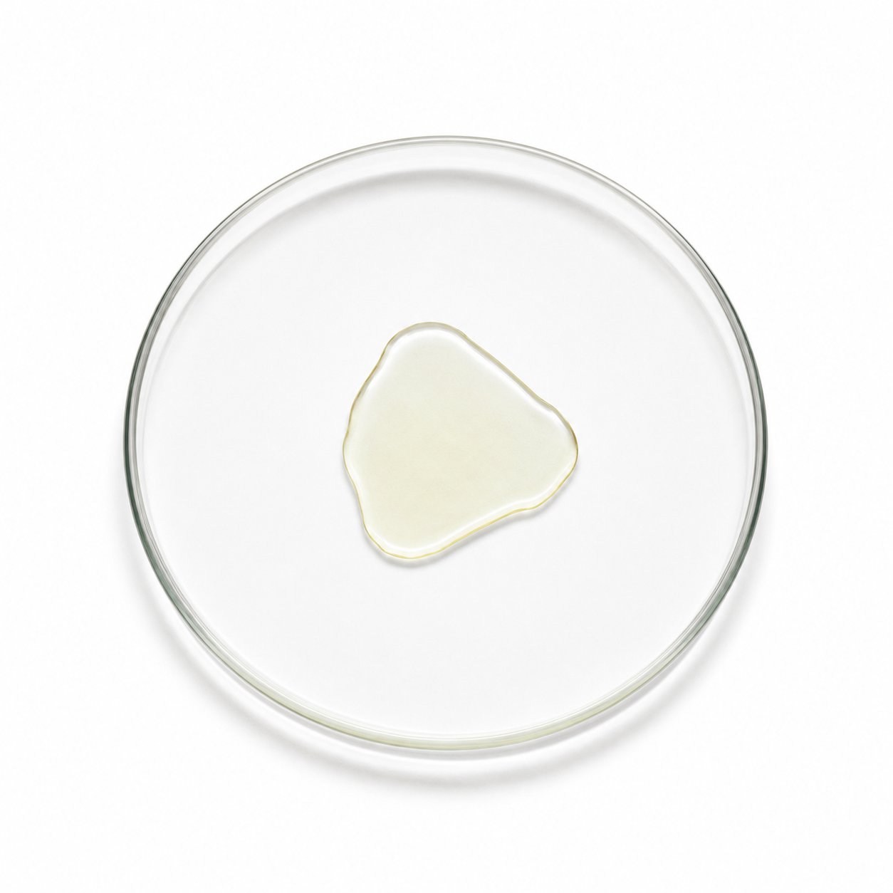 Plum Kernel Oil