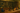 Apothecary