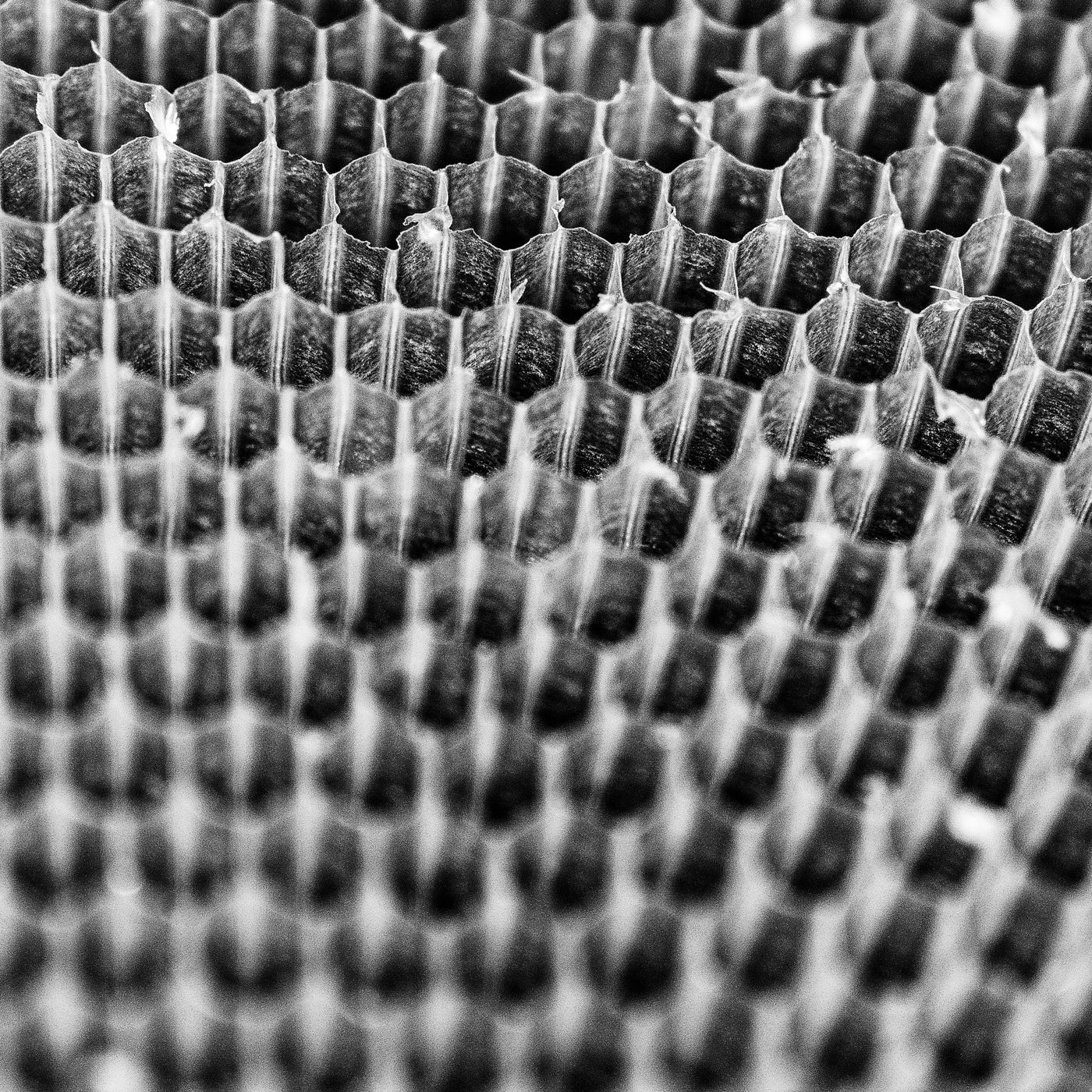 'pulse' | Limited Edition 12 x 12 inch B&W Photo Print Under Acrylic Glass