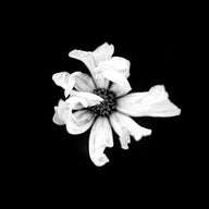 'abrazo' | Limited Edition 12 x 12 inch B&W Photo Print Under Acrylic Glass