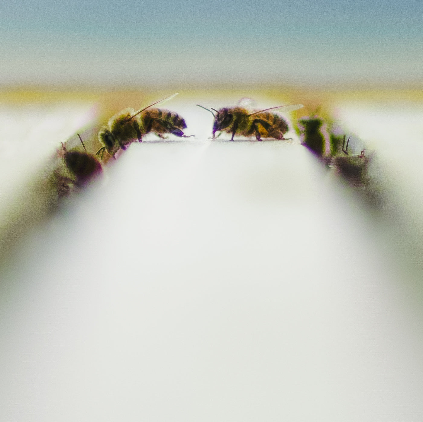 'threshold' | Limited Edition 12 x 12 inch Color Photo Print Under Acrylic Glass
