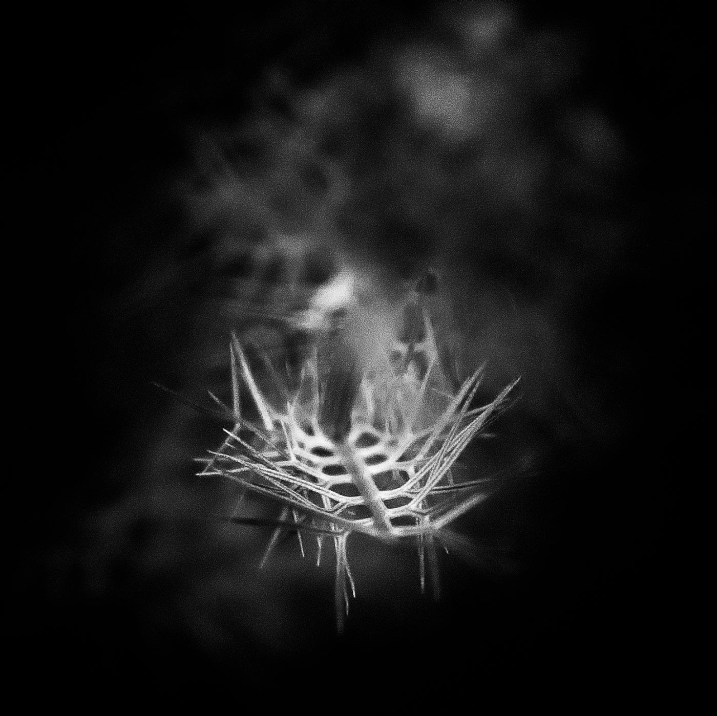 'staircase' | Limited Edition 12 x 12 inch B&W Photo Print Under Acrylic Glass