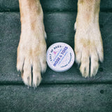 Nose & Toes | Beeswax and Lanolin Moisturizing Balm for Cool Dogs
