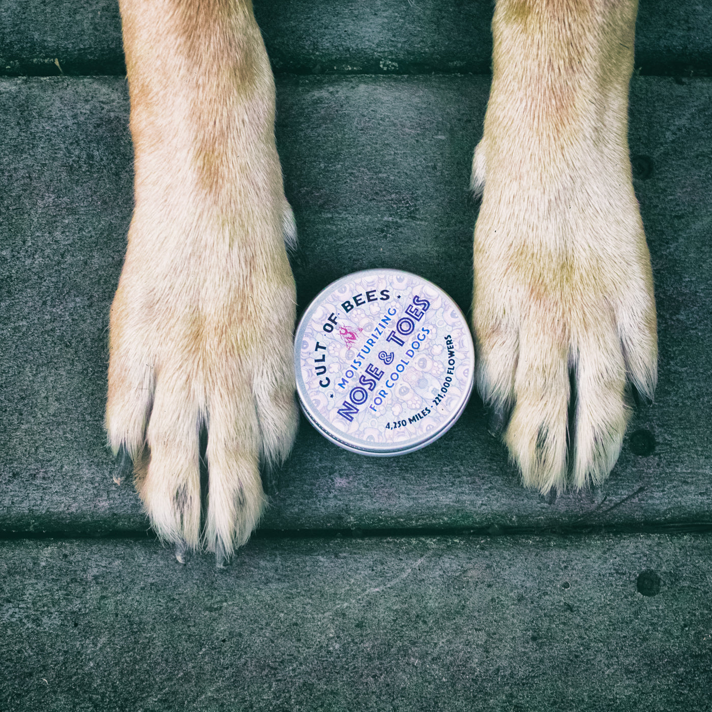 Nose & Toes | Beeswax and Lanolin Moisturizing Balm for Cool Dogs