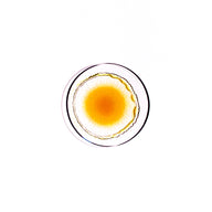 Pure Propolis Tincture – Natural Immune Support