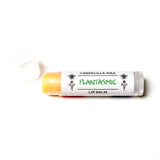 Plantasmic | 100% Plant-Based Lip Balm